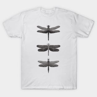 Dragonflies Pattern - Gray Palette T-Shirt